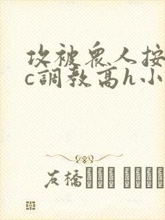 攻被众人按住狠c调教高h小说封面