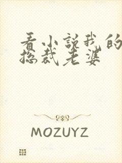 看小说我的冷艳总裁老婆