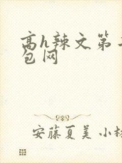 高h辣文第二书包网