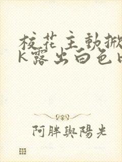 校花主动掀开jk露出白色内裤小说