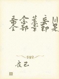 乔念叶妄川小说全部章节是多少节封面