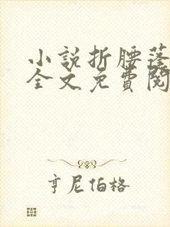 小说折腰蓬莱客全文免费阅读全文