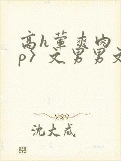 高h荤爽肉〈np〉文男男文