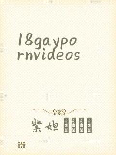18gaypornvideos