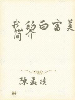 我的白富美老婆简介