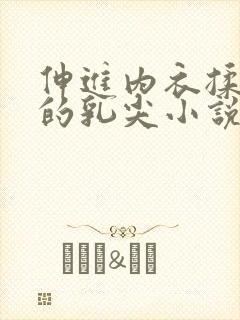 伸进内衣揉捏她的乳尖小说