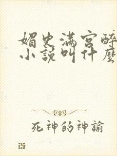 媚史满宫醉原著小说叫什么