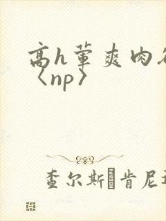 高h荤爽肉欲文〈np〉