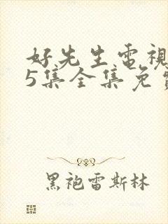 好先生电视剧45集全集免费播放