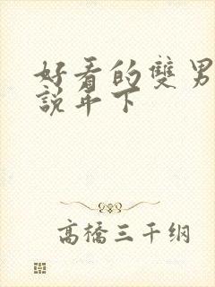 好看的双男主小说年下