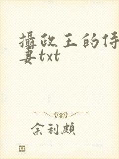 摄政王的侍爱逃妻txt封面