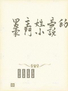 男主姓帝的现代豪门小说