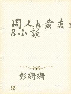 同人h黄爽文18小说