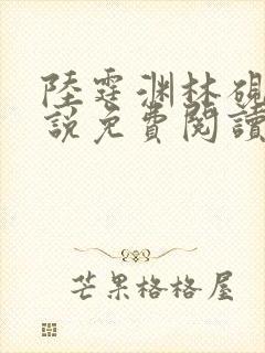 陆霆渊林砚秋小说免费阅读最新章节列表封面