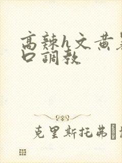 高辣h文黄暴粗口调教