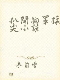 扒开胸罩揉她乳尖小说