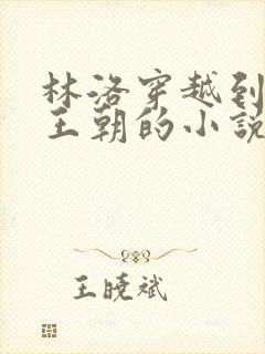 林洛穿越到大乾王朝的小说免费阅读