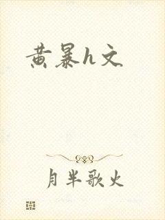 黄暴h文