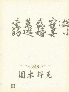 亿万盛宠:总裁的逃婚妻 小说完整