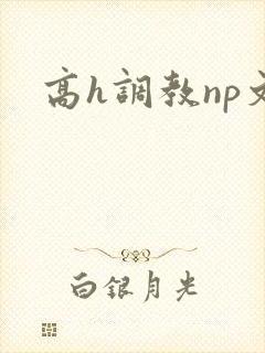 高h调教np文封面