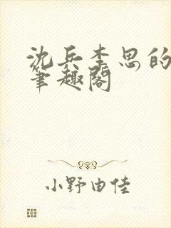 沈兵李思的小说笔趣阁封面