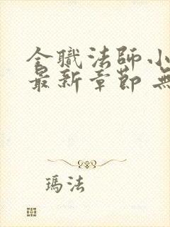 全职法师小说 最新章节 无弹窗