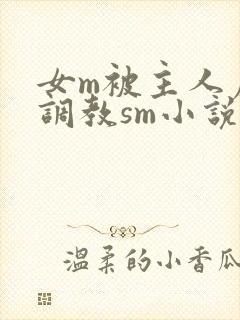 女m被主人虐玩调教sm小说封面