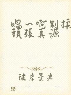 嗯～啊别揉我奶头张真源