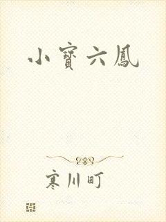 小宝六凤