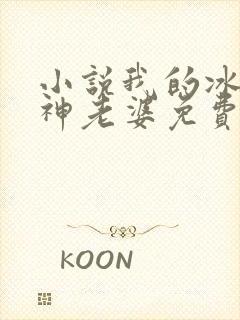 小说我的冰山女神老婆免费阅读