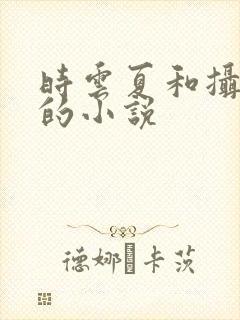 时云夏和摄政王的小说