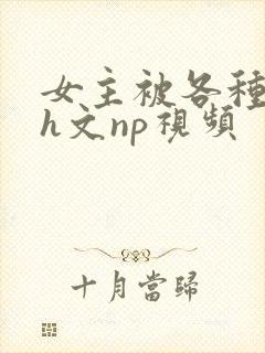 女主被各种调教h文np视频