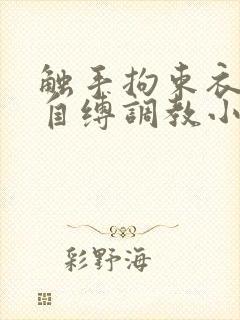 触手拘束衣淫堕自缚调教小说