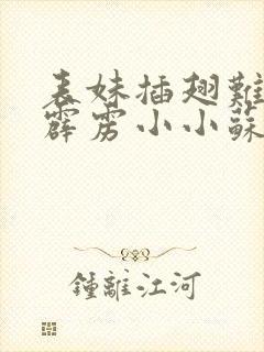 表妹插翅难飞 霹雳小小苏笔趣阁