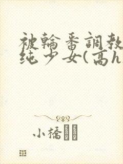 被轮番调教的清纯少女(高h)封面