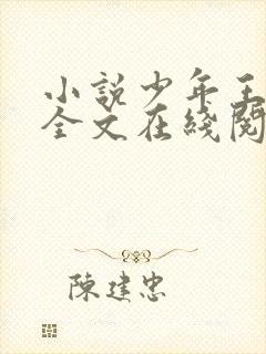 小说少年王王巍全文在线阅读