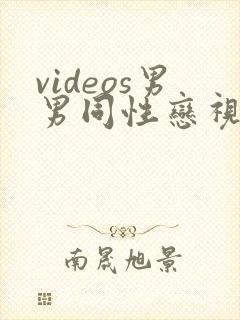 videos男男同性恋视频封面