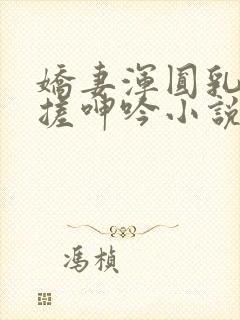 娇妻浑圆乳峰揉搓呻吟小说