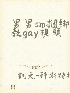 男男sm捆绑调教gay视频
