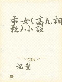 乖女(高h,调教)小说封面