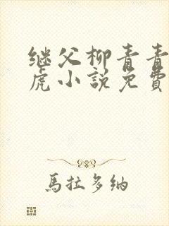 继父柳青青 王虎小说免费阅读