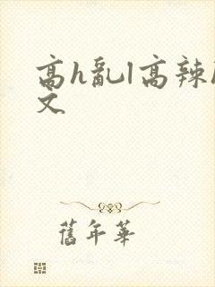 高h乱l高辣h文