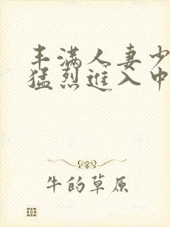 丰满人妻少妇被猛烈进入中文字幕