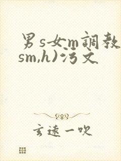 男s女m调教(sm,h)污文
