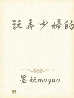 玩弄少妇的小说封面