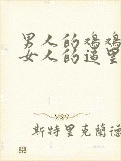 男人的鸡鸡插进女人的逼里呢封面