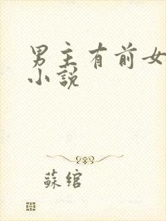 男主有前女友的小说