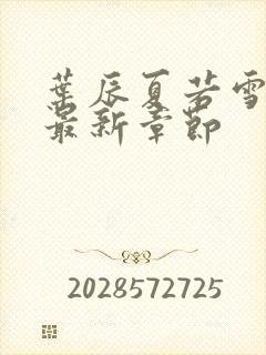 叶辰夏若雪孙怡最新章节