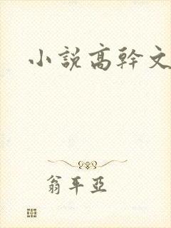 小说高干文高h