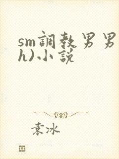 sm调教男男(h)小说
